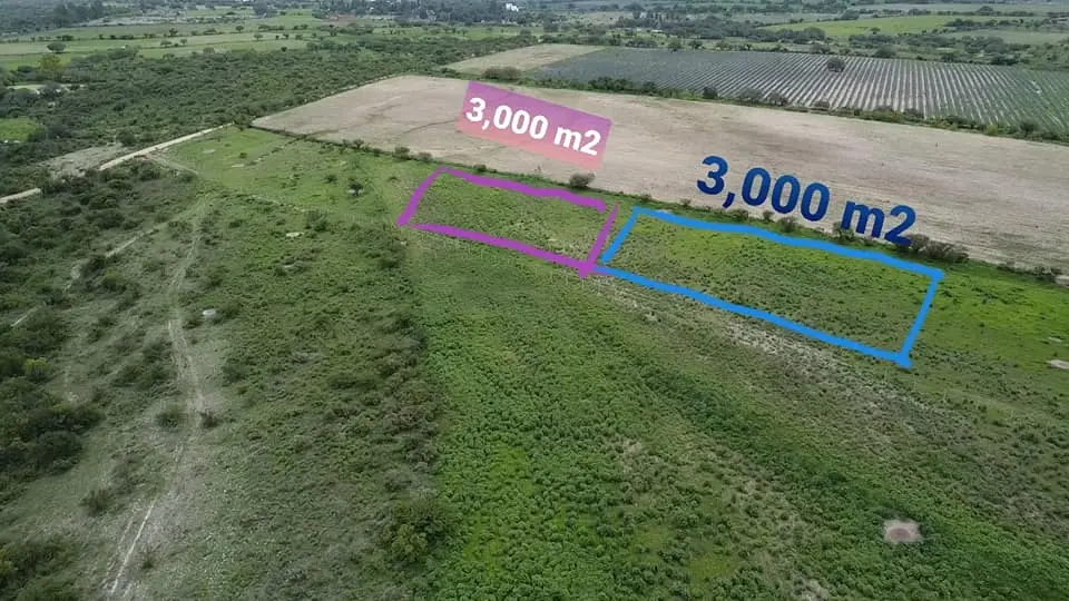 2 Terrenos Campestres imagen 3