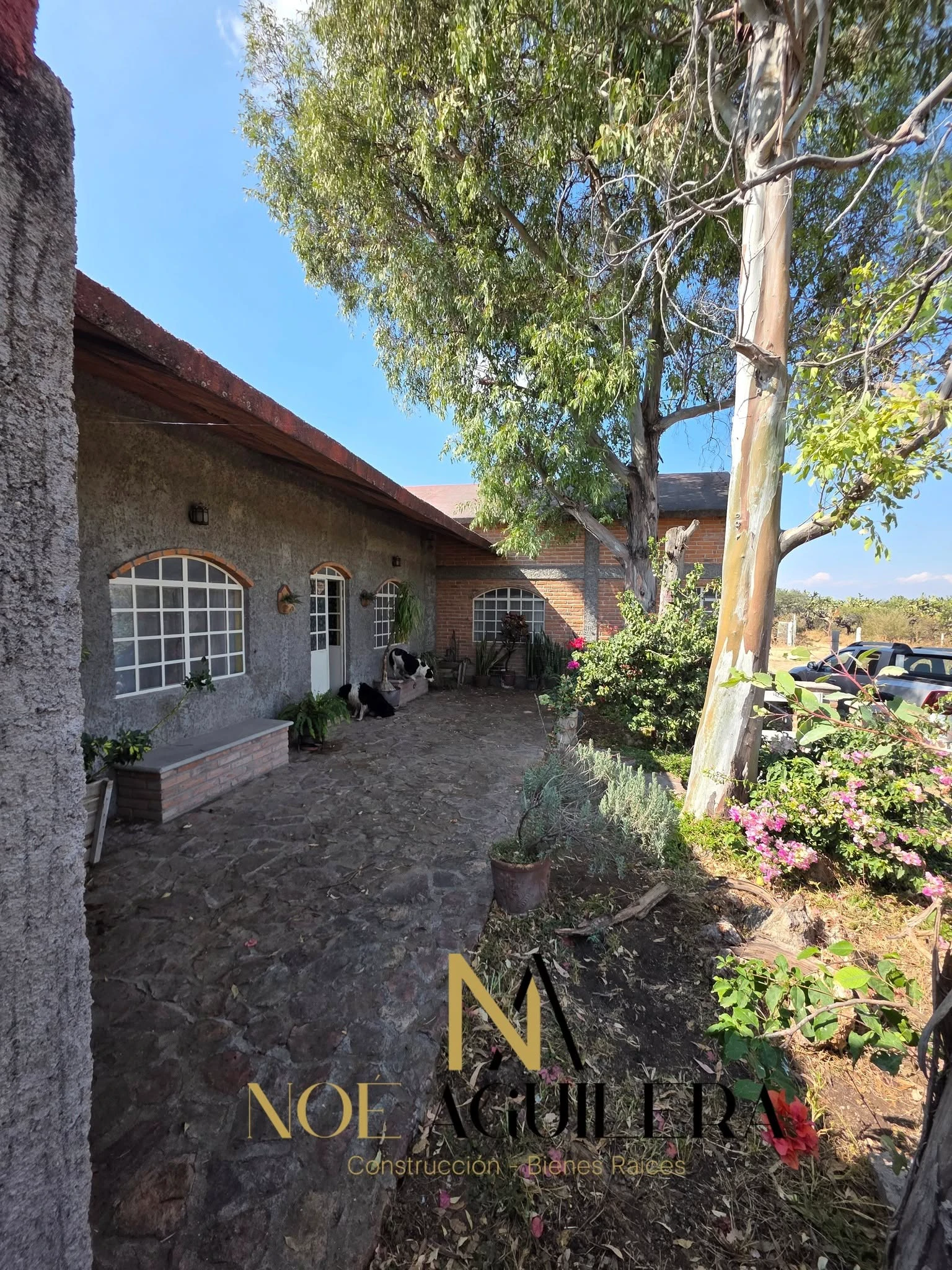 4 Hectáreas en Venta Frente a silos de maiz imagen 6