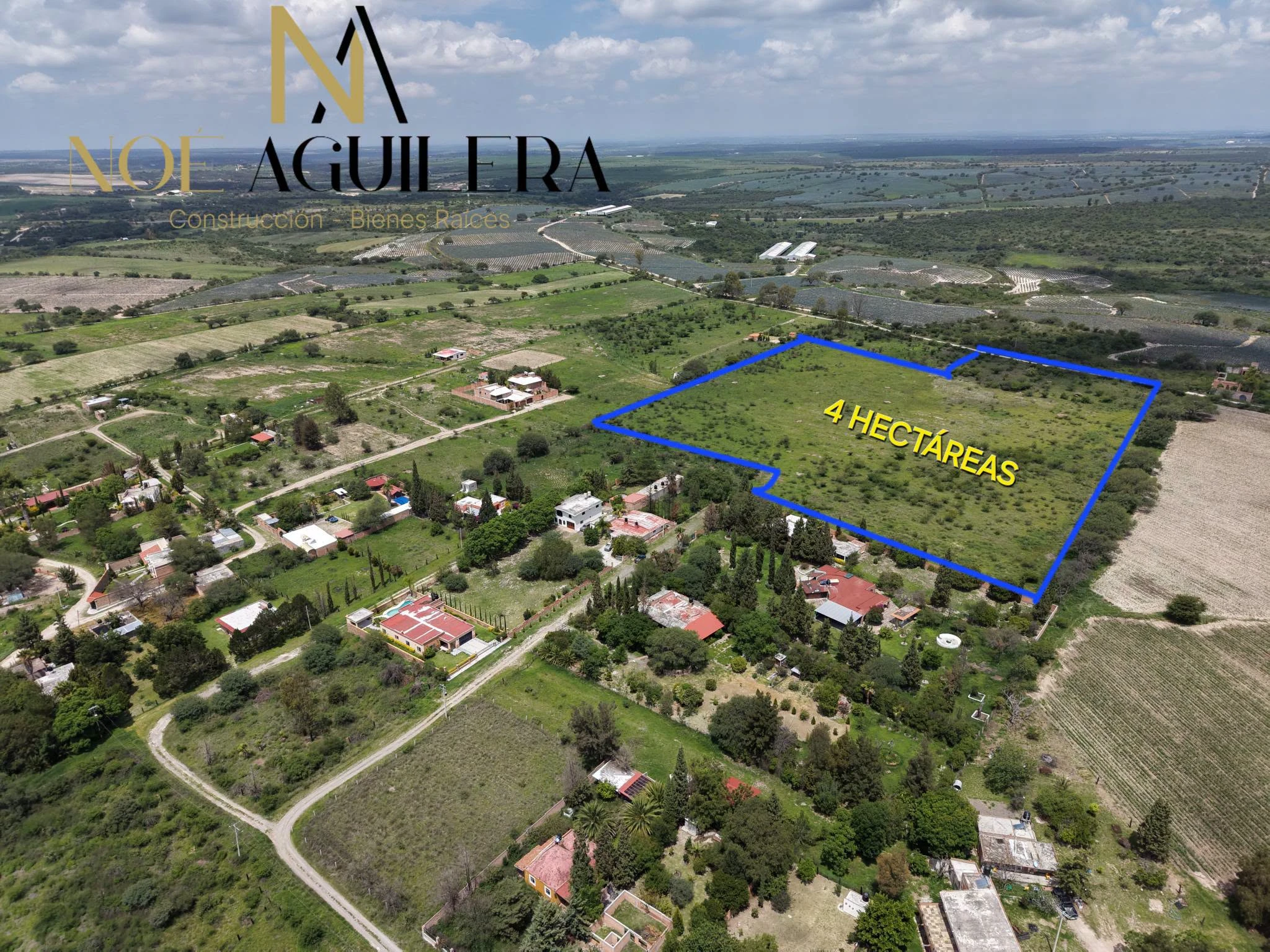 4 HECTAREAS EN EL MONTOSO
