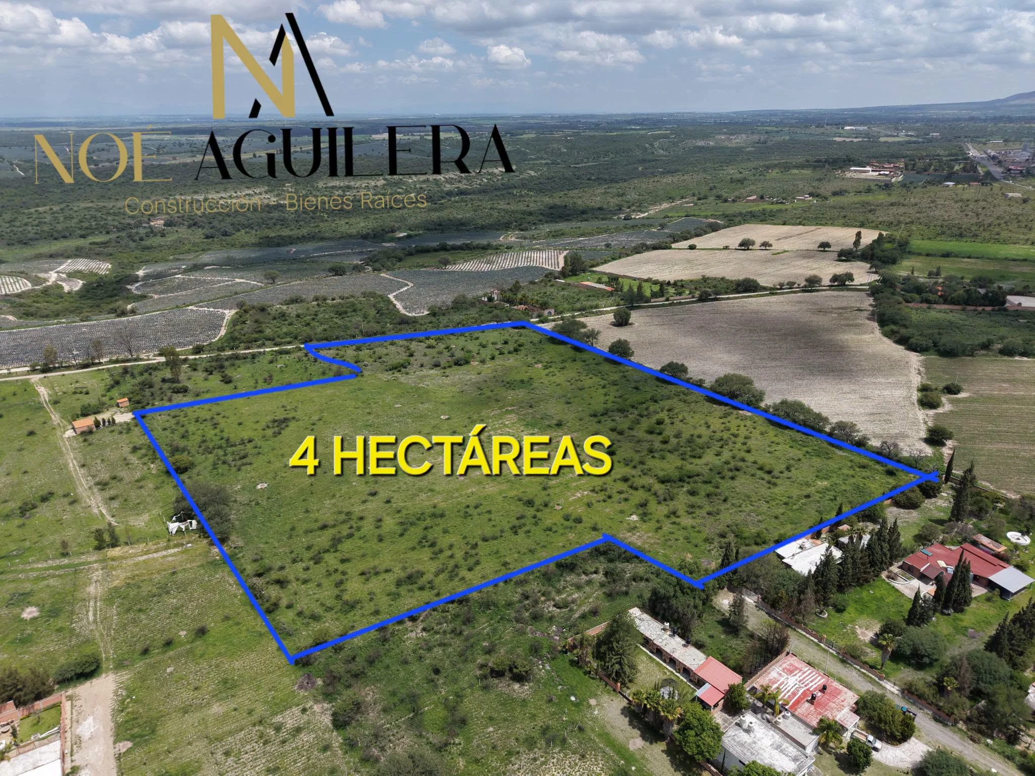 4 HECTAREAS EN EL MONTOSO, imagen 5