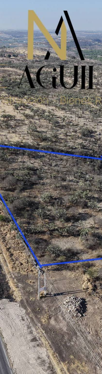 1 Hectarea en venta sobre carretera antes del llegar al Tigre. imagen 3