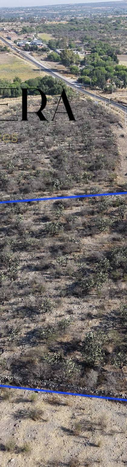 1 Hectarea en venta sobre carretera antes del llegar al Tigre. imagen 4