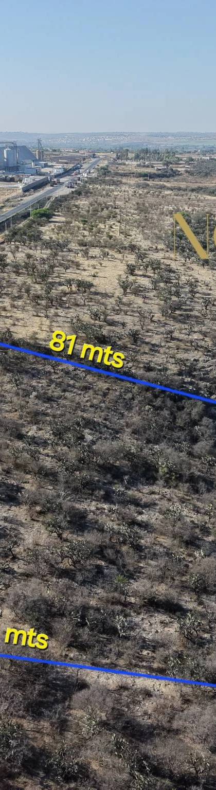 1 Hectarea en venta sobre carretera antes del llegar al Tigre. imagen 6