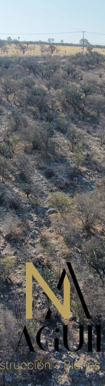 1 Hectarea en venta sobre carretera antes del llegar al Tigre. imagen 7