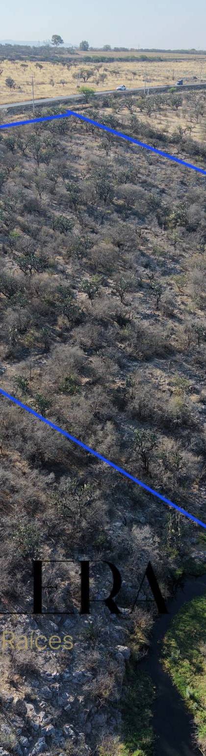 1 Hectarea en venta sobre carretera antes del llegar al Tigre. imagen 8