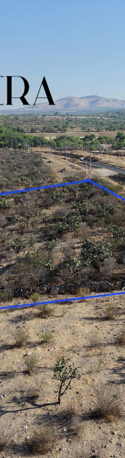 1 Hectarea en venta sobre carretera antes del llegar al Tigre. imagen 9